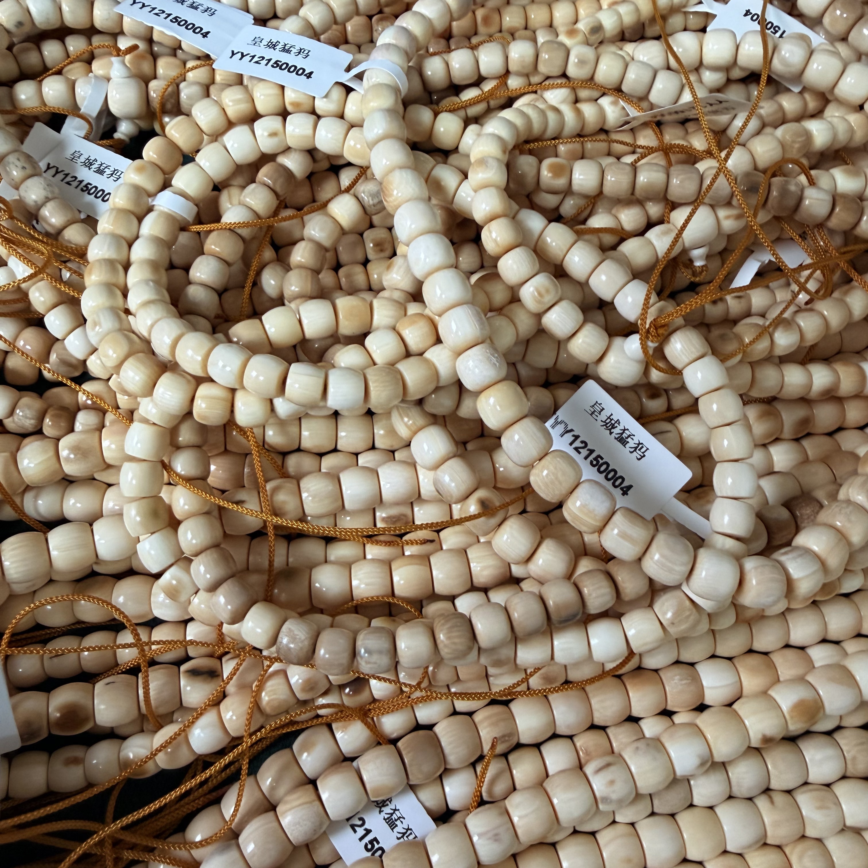  皇城猛犸天然猛犸牙（直播间链接500专拍链接）