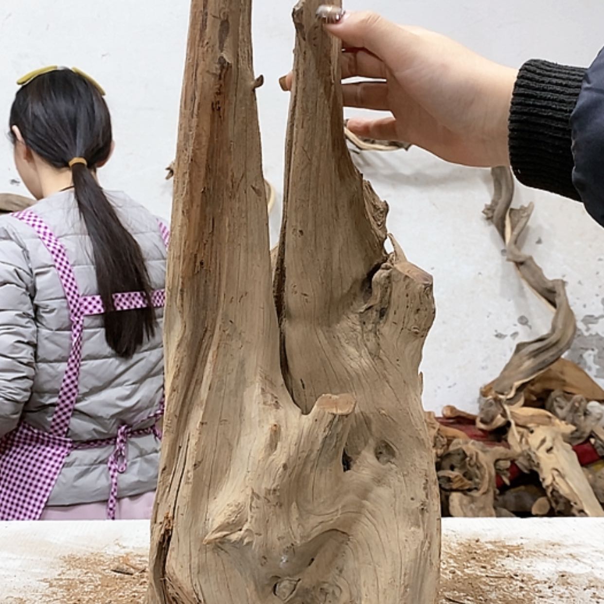 【闪购商品】柏木壹*堂我们都是好孩子