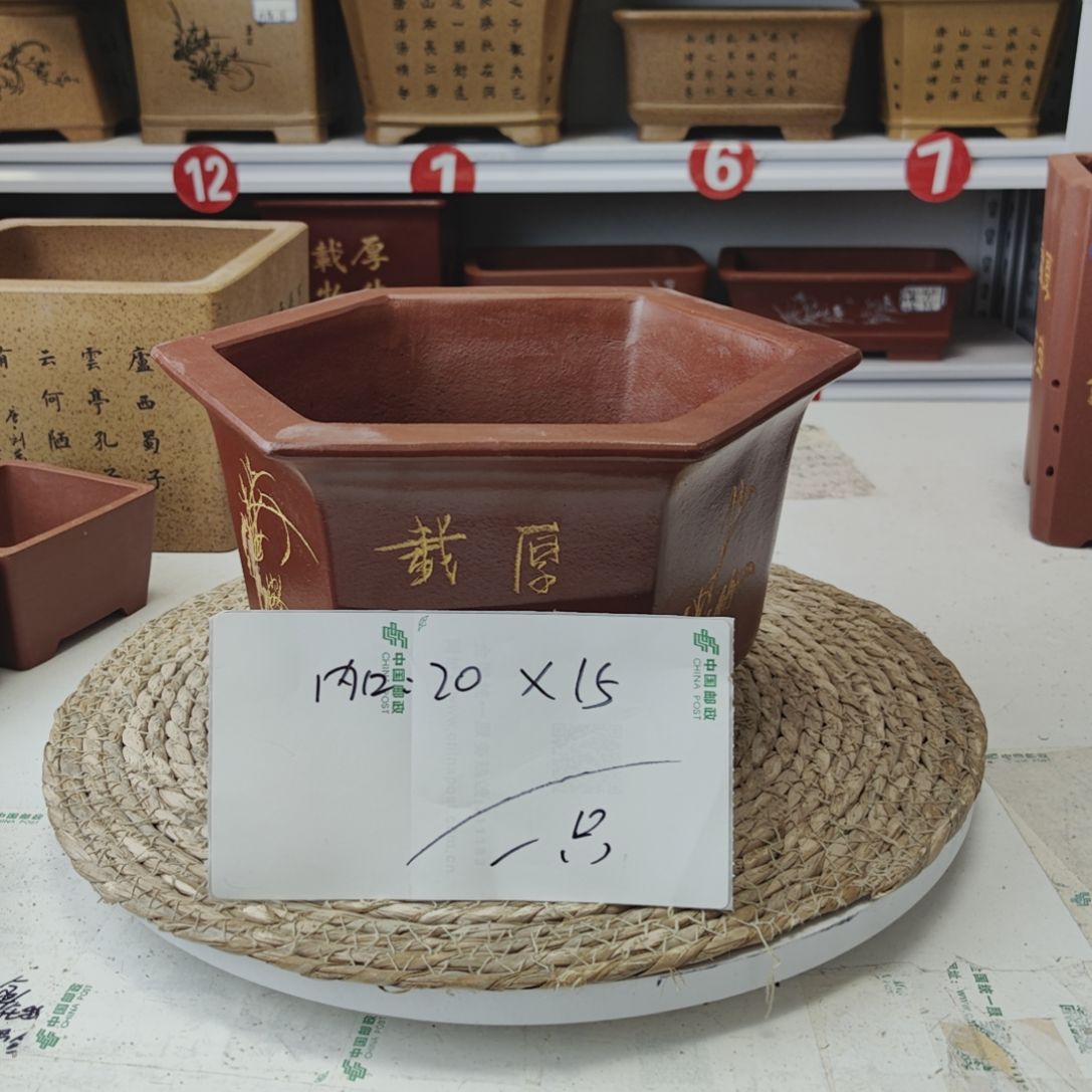 紫砂花盆出来吗来吗