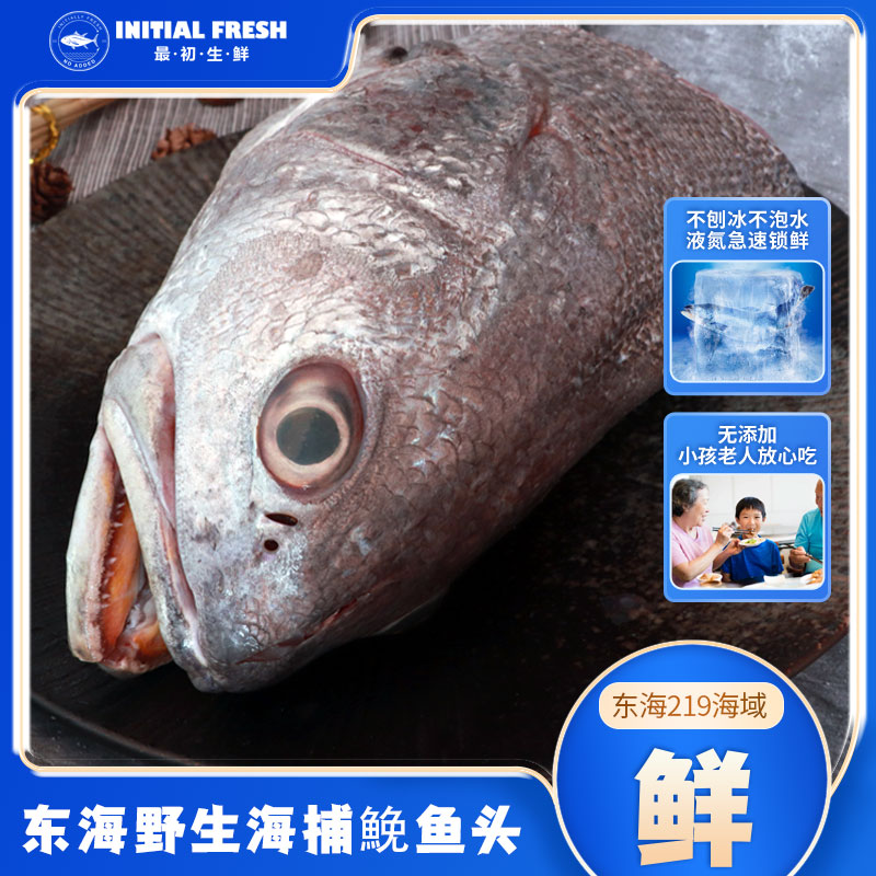 正宗东海黄唇鮸鱼头米鱼头