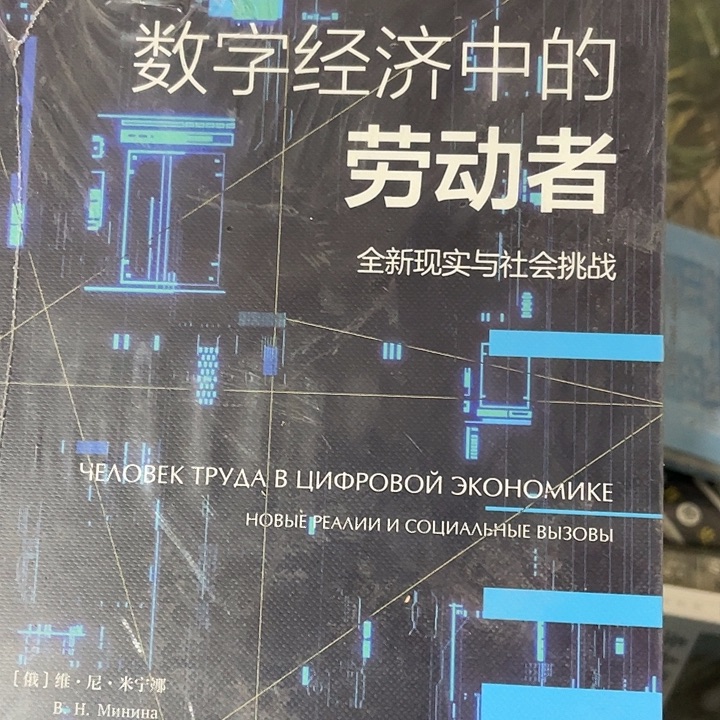 数字经济微瑕微瑕