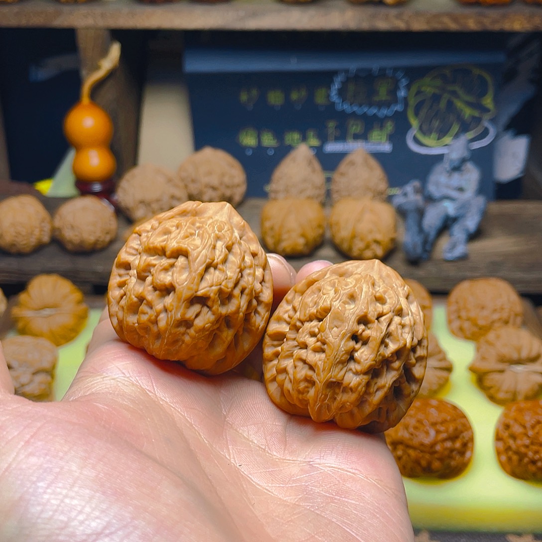 41尺全品红锦鲤手把