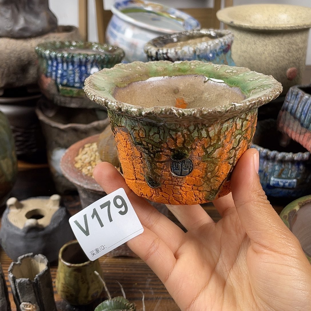 默认微次 限时福利 坛子姐花盆