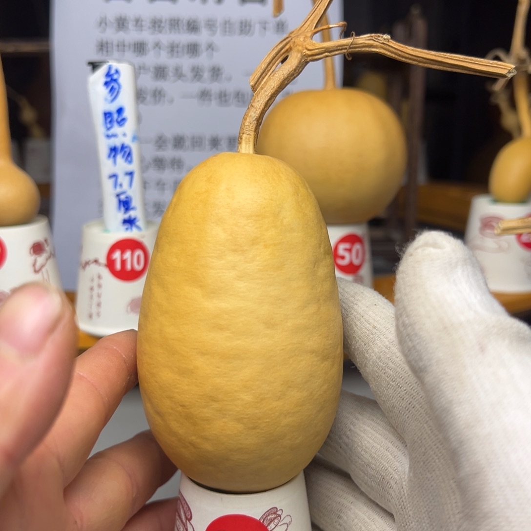 闪电购自助下单编号86