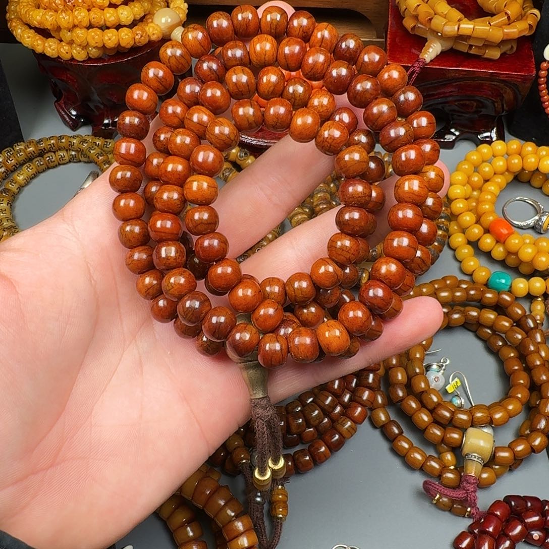 牦牛骨的一条非常好的一条