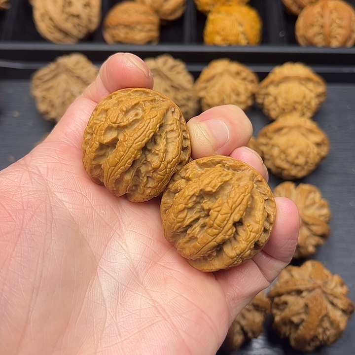 核桃秦岭山脉中段怒江与澜沧江