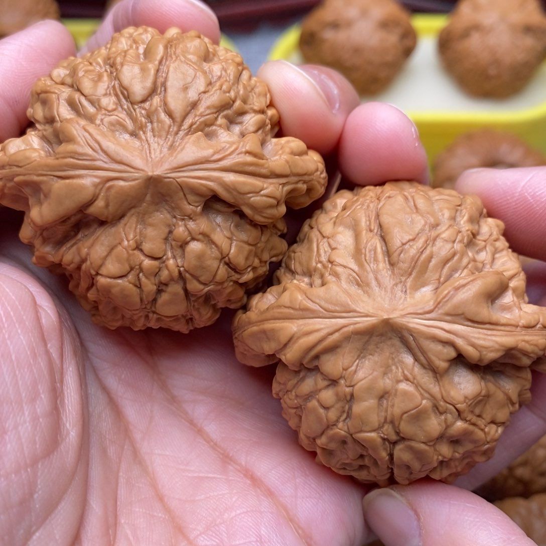 文玩核桃把件全品毕业绝配肉球龙鼎51尺