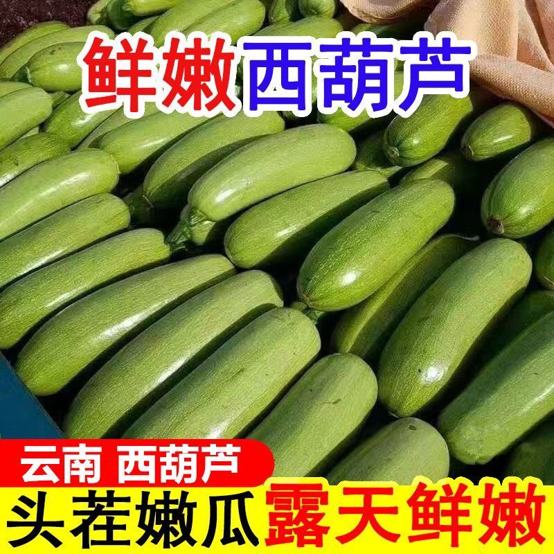 云南新鲜西葫芦小瓜三月瓜带箱3-5斤农家露天种植应季鲜嫩蔬菜
