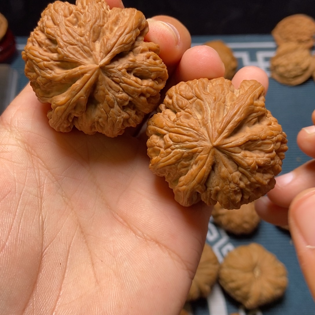 45尺全品大粗筋白茬