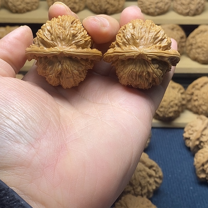 核桃44球白福利核桃