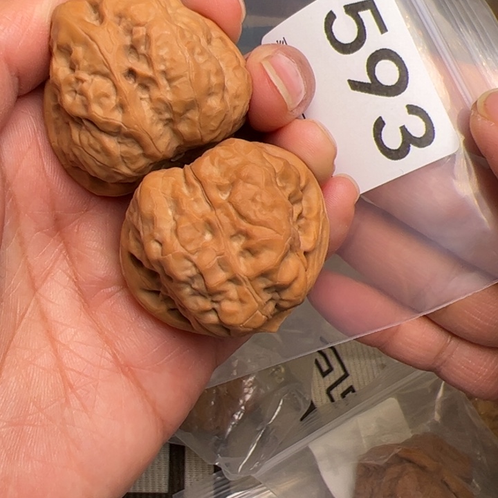 核桃39边41肚593号