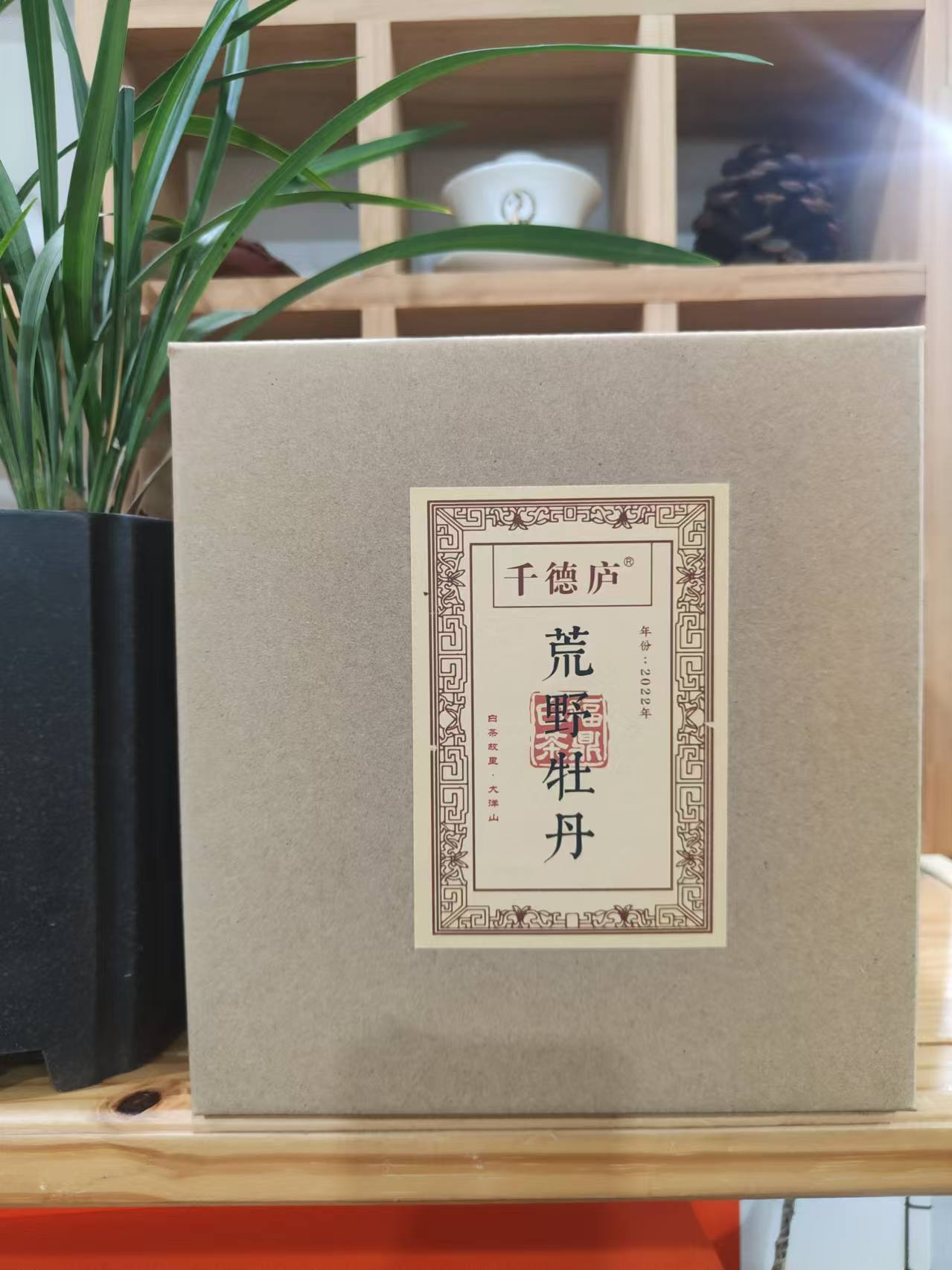 【磻溪｜大洋山】2022年荒野白牡丹 3-5斤