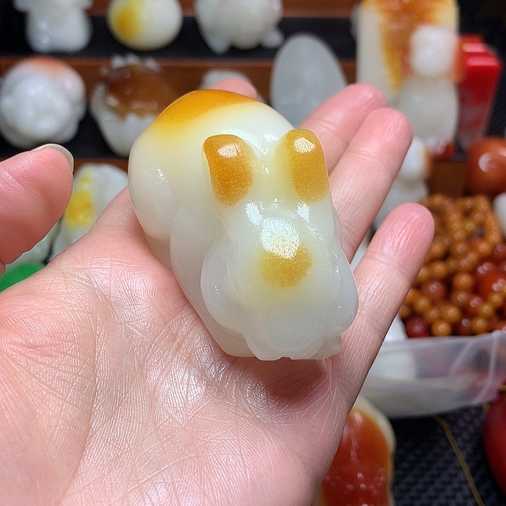 新疆北疆金丝兔子