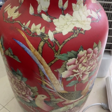 董*人z c z c z x z x x c