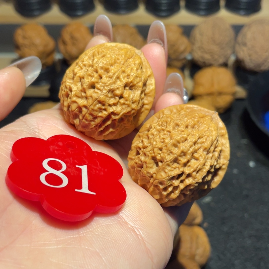 铁狮子绣球核桃38。 