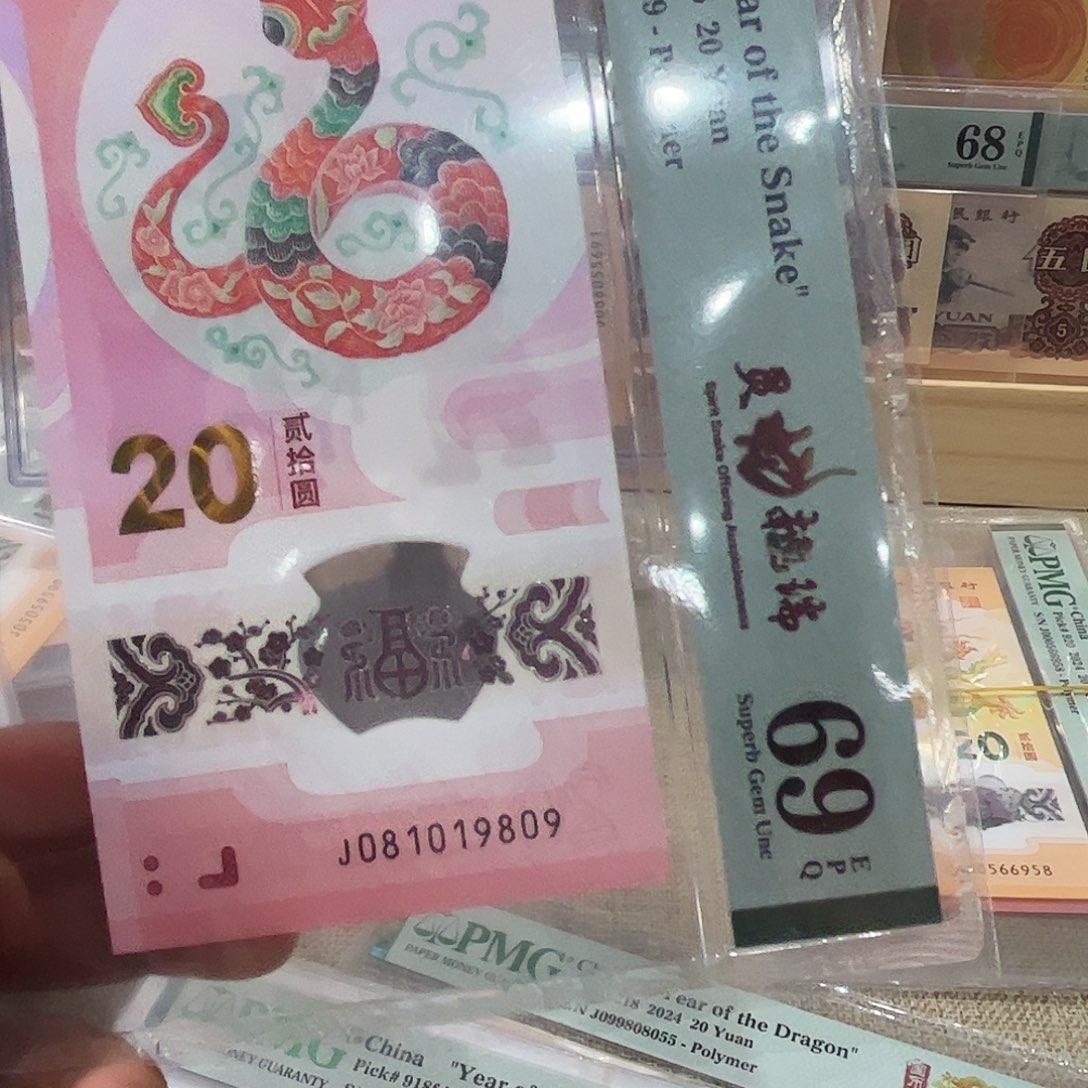 塑料蛇钞081019809