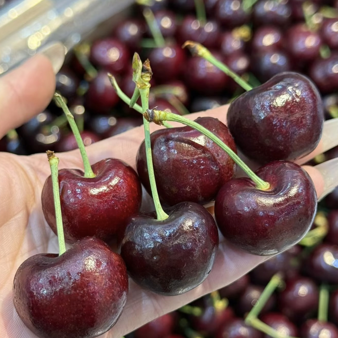 嘎嘣脆甜海运2JD车厘子5斤装礼盒装智利