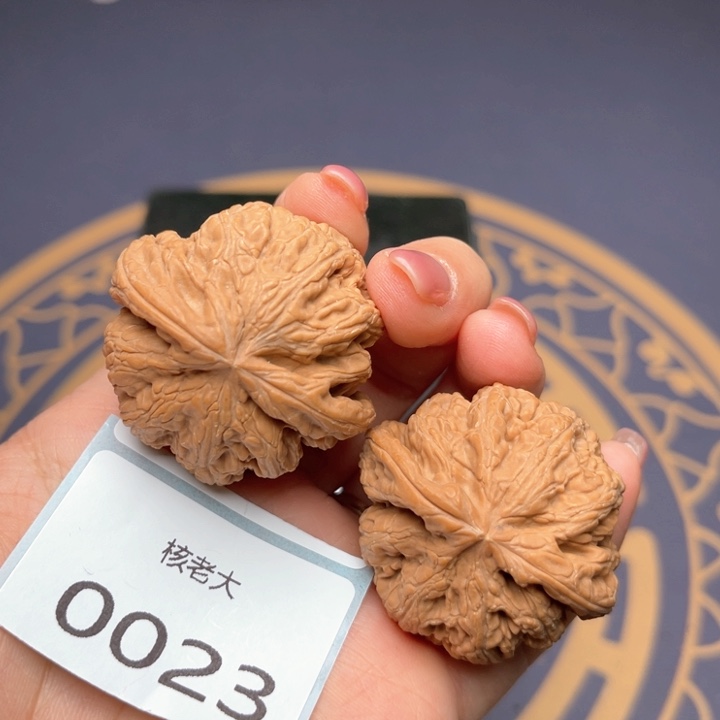 文玩核桃把件39大粗筋