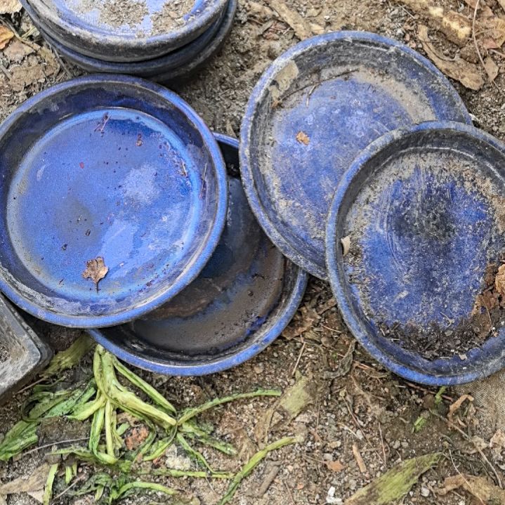 红陶灯****?石湾接水盘4个