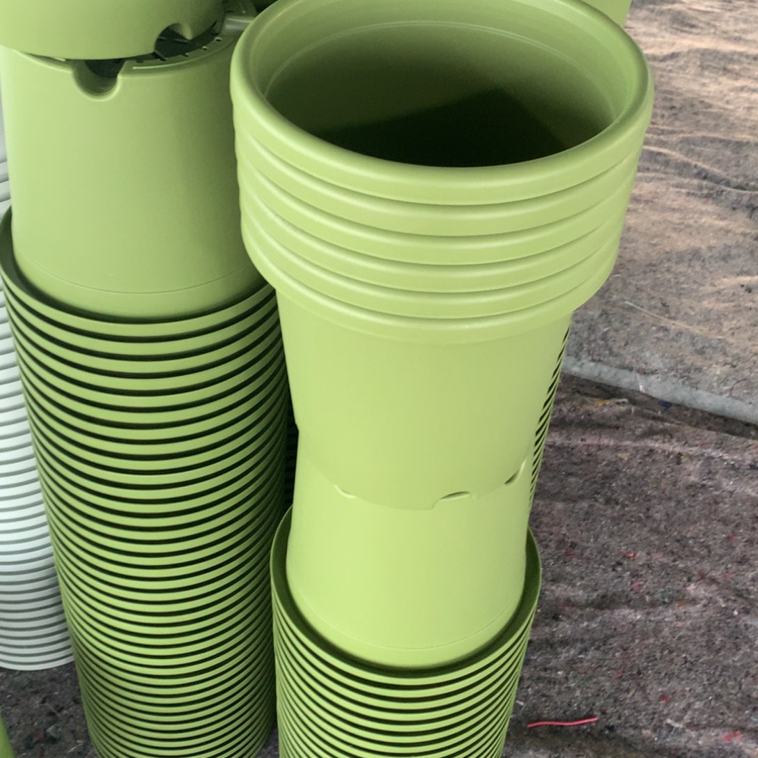 红陶25口果绿无托6个