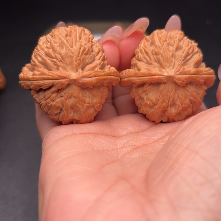 桃核把件42白狮子