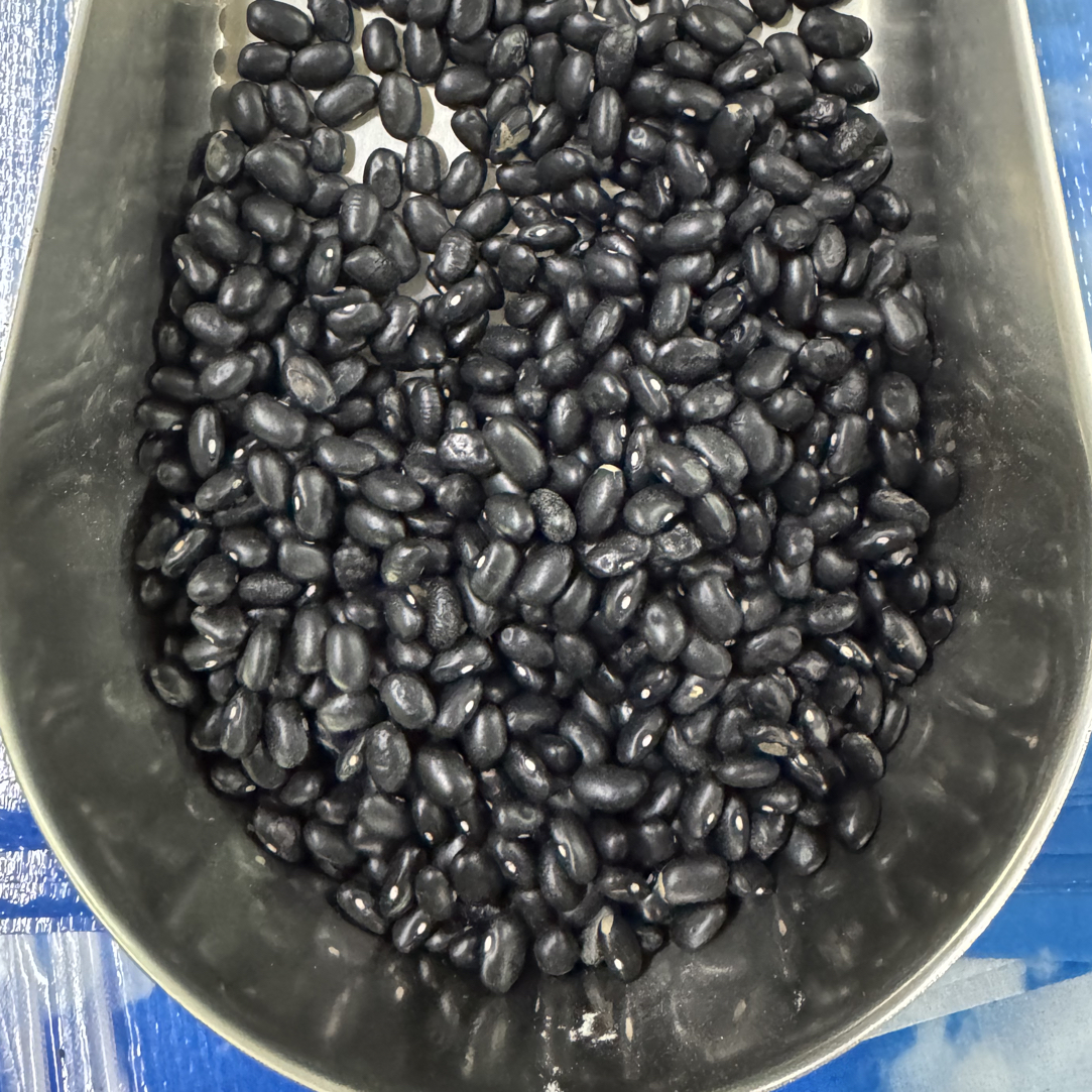 25年新豆黑土农家自种老品种肾形白心小黑豆营养丰富可打豆浆