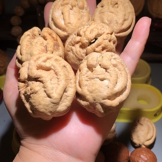 0***人金刚菩提吊坠乾坤鬼脸核三对