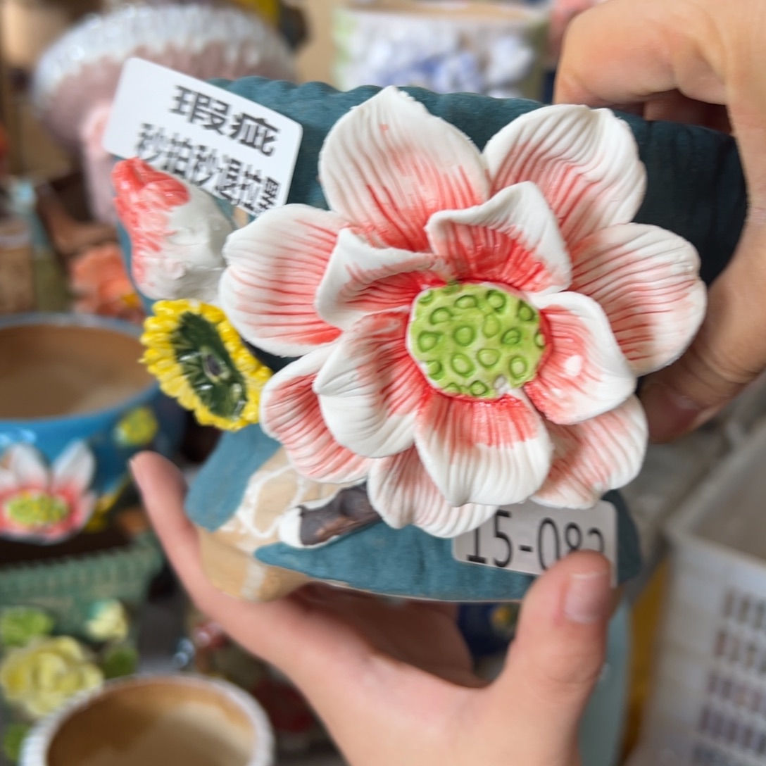 瑕疵1891 多肉花盆，满20发货，爱退款拉黑