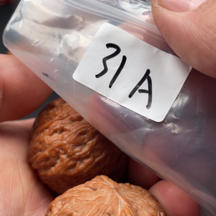 文玩核桃吊坠人*铁锤41