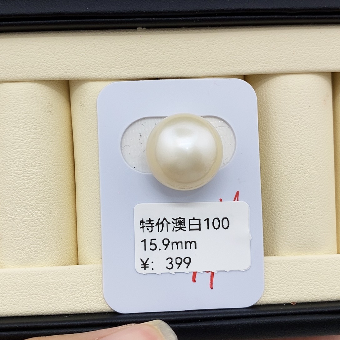 未镶嵌海水珍珠耳饰15.9mm澳白（无鉴赏）