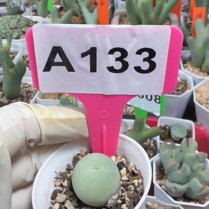 S***.133nnmmjkkkmmmmmmmmmmmm