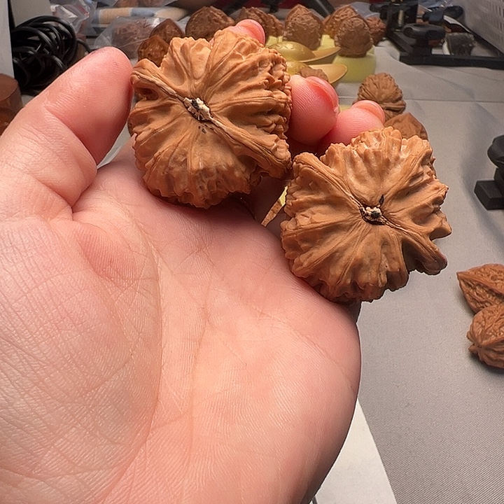 大叶紫檀（黑酸枝木类）三角白茶