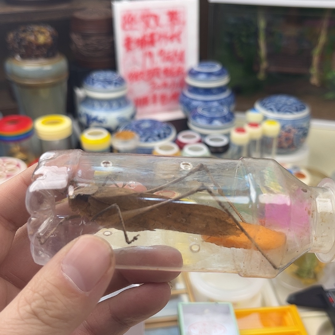 顺***然一条蛙纺拍拍拍拍