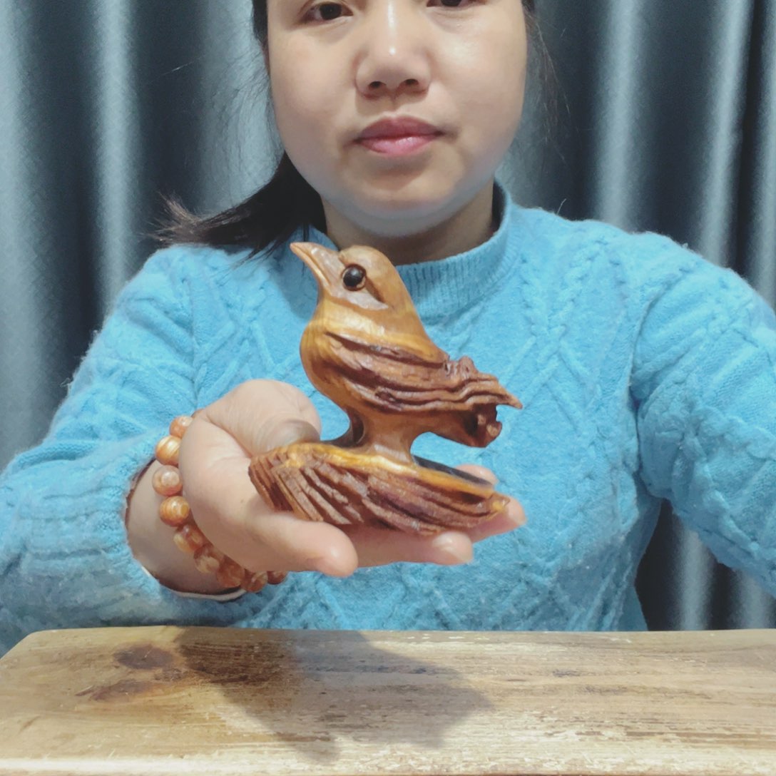 老*百年树的生长环境