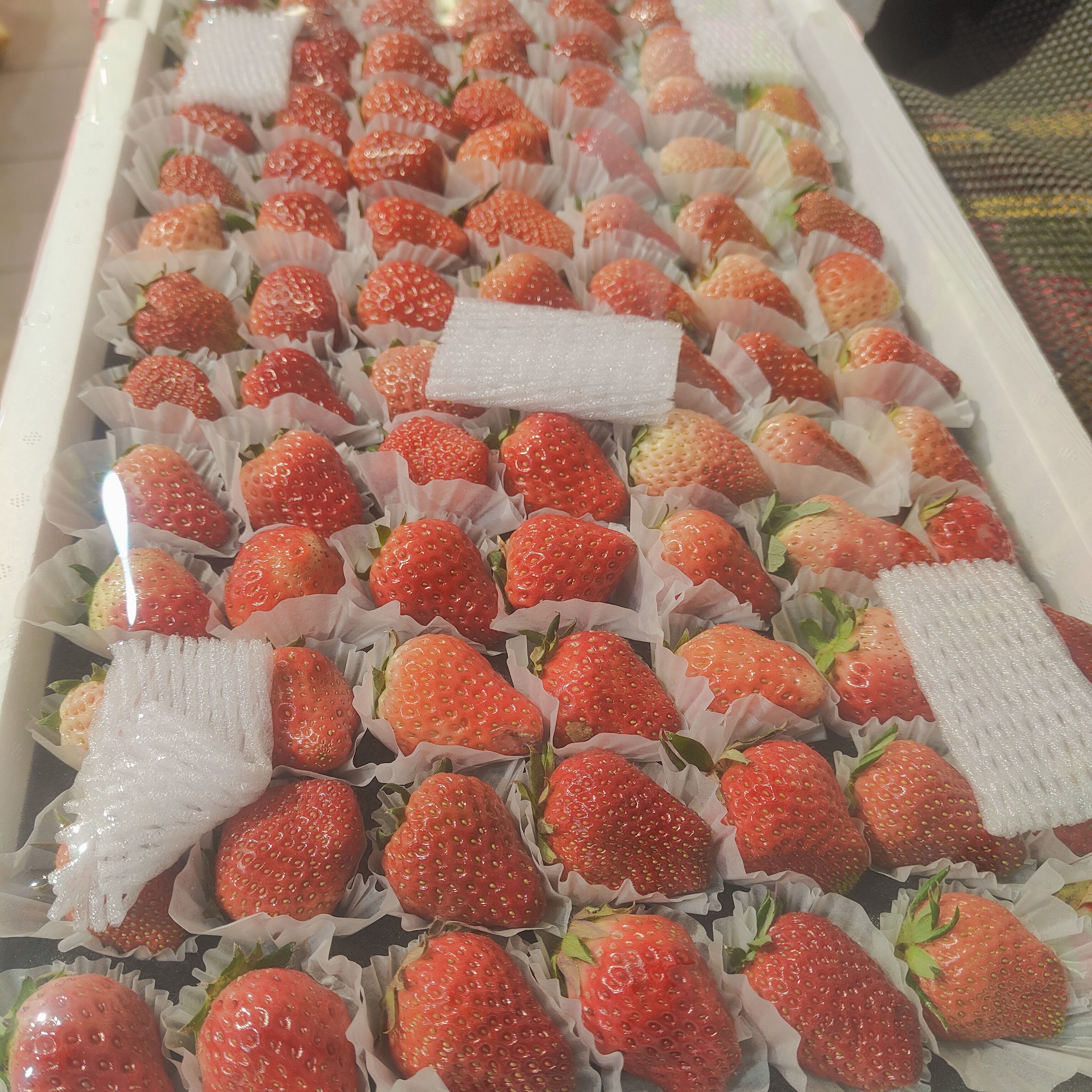 丹东大板草莓/毛重约3.8斤左右