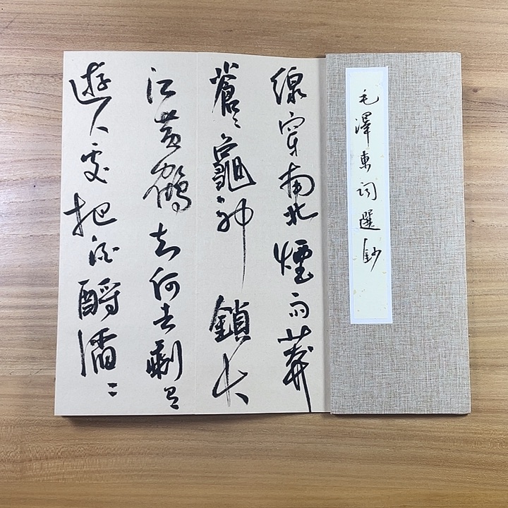 书法中书协会员作品