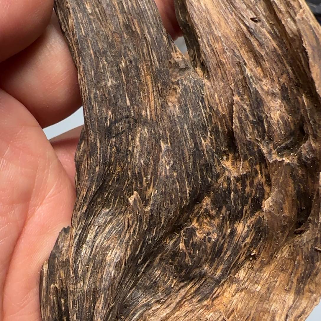 沉香沉香碎屑36.6克芽庄9分沉老料