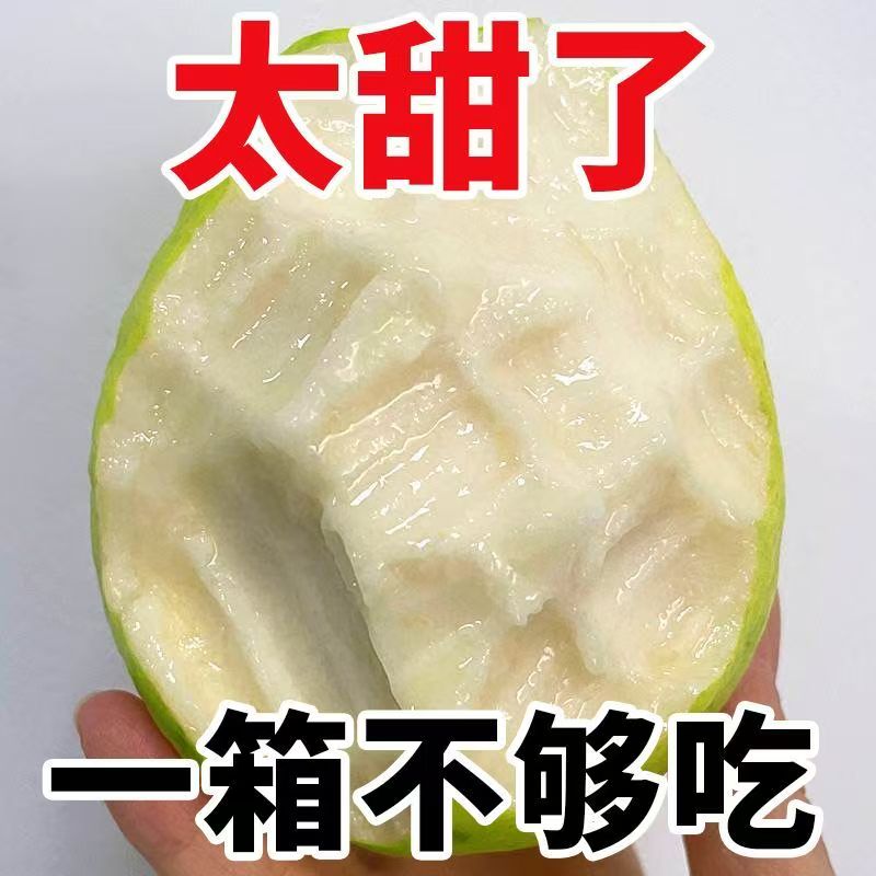 奶油芭乐番石榴白心红心新鲜水果软糯低糖高VC产地直发