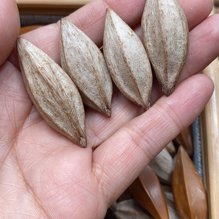 吊坠橄榄核分*.10顆