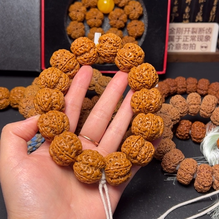 金刚菩提手串古龙梅花