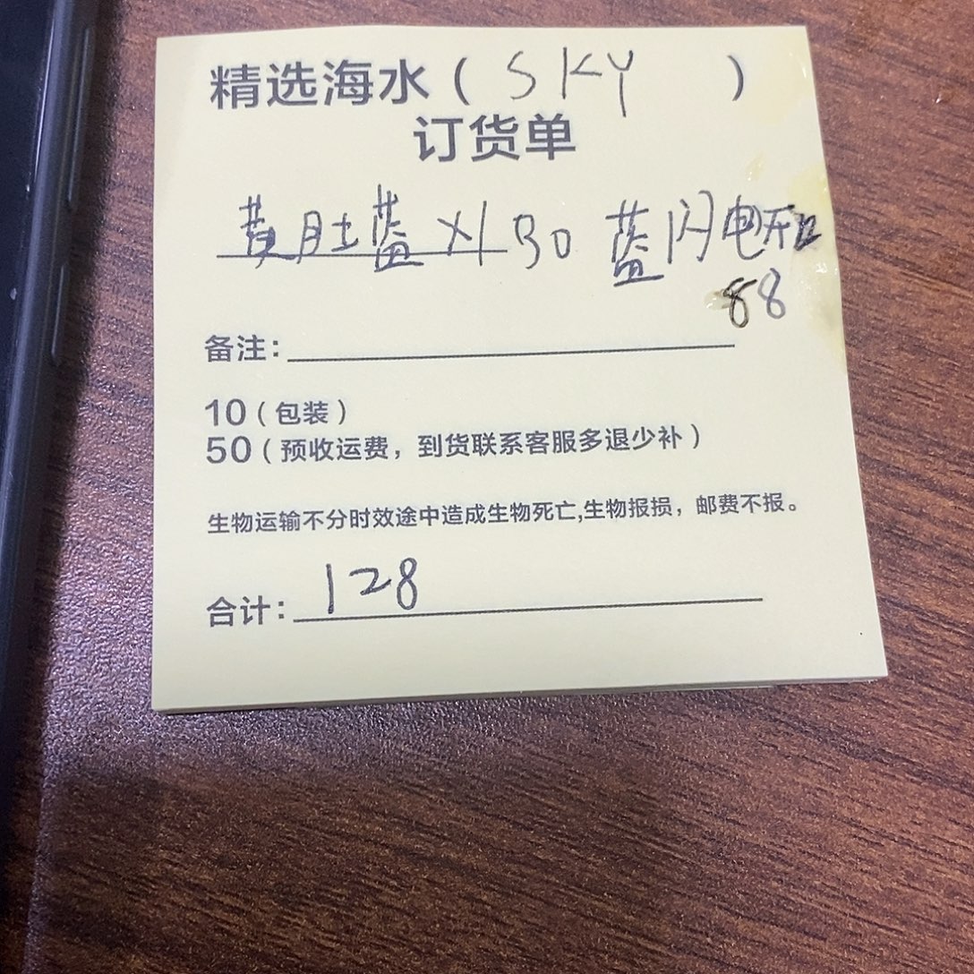 海水鱼黄肚蓝，蓝闪电