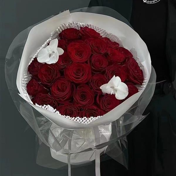 挚爱【21朵珍爱红玫瑰】