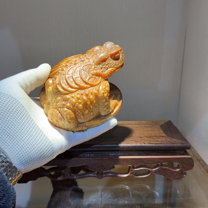 华***6柏木（崖柏）Dhhjjkkkko