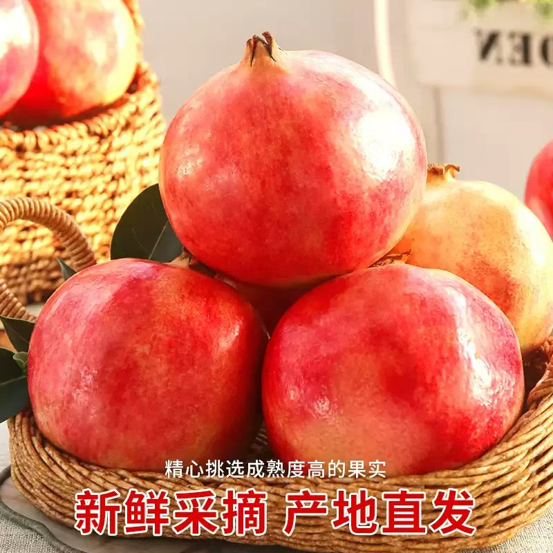 四川会理软籽石榴新鲜当季水果爆甜多汁不吐籽