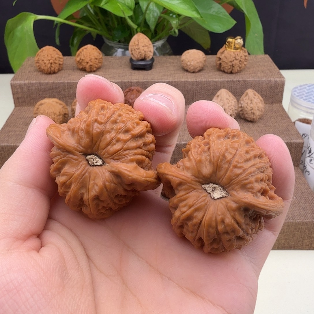 假****凹底血麒麟42/40/35