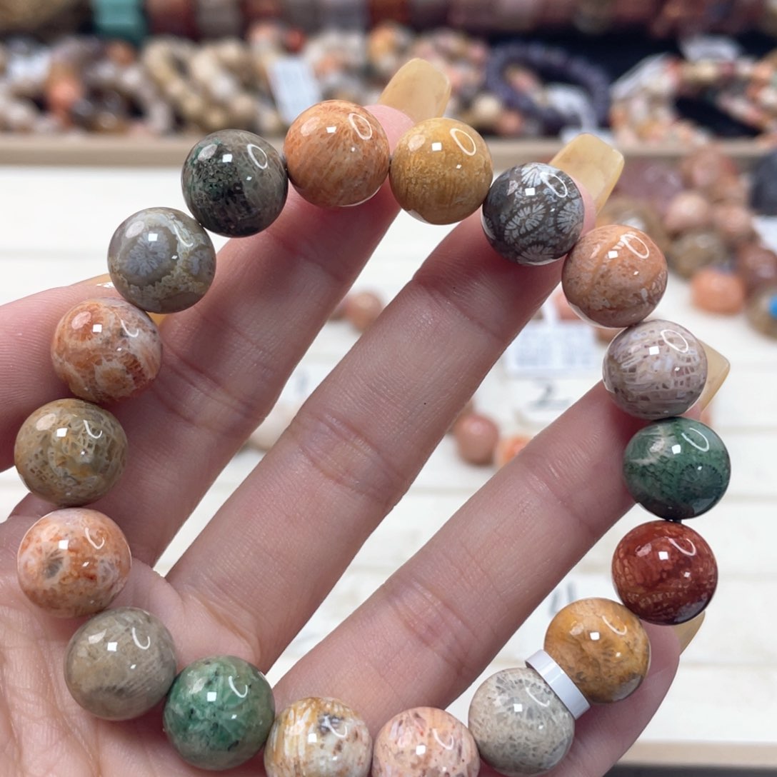 未镶嵌手串硅化珊瑚（珊瑚玉）013