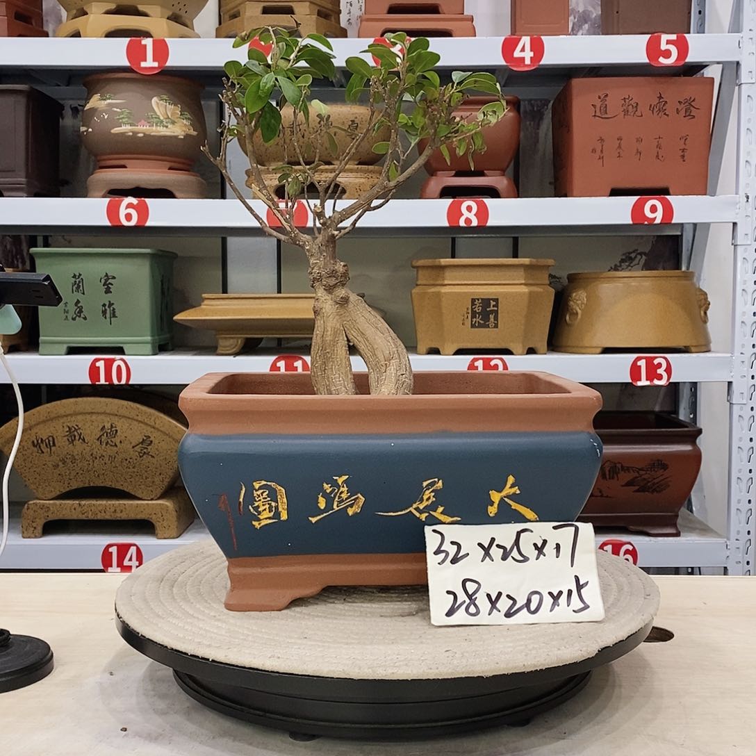 紫砂花盆紫砂花盆