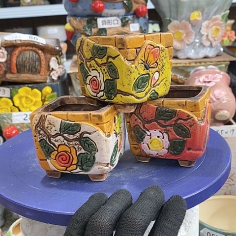 【闪购商品】红陶1
