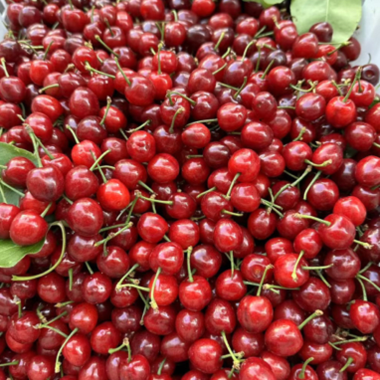 红玛瑙樱桃L一盒（500克）小樱桃