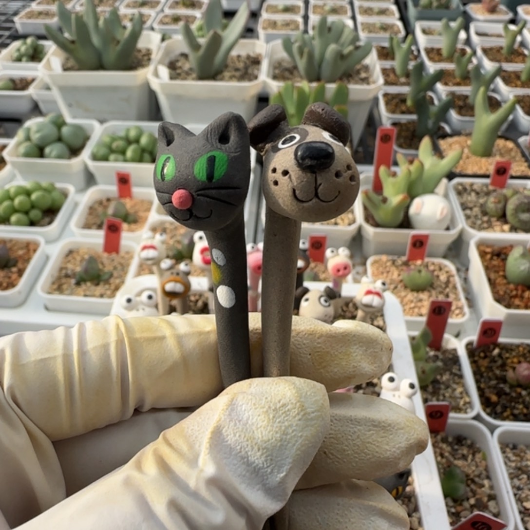 起***字12-7-当天满38包邮韩国小蛇花插